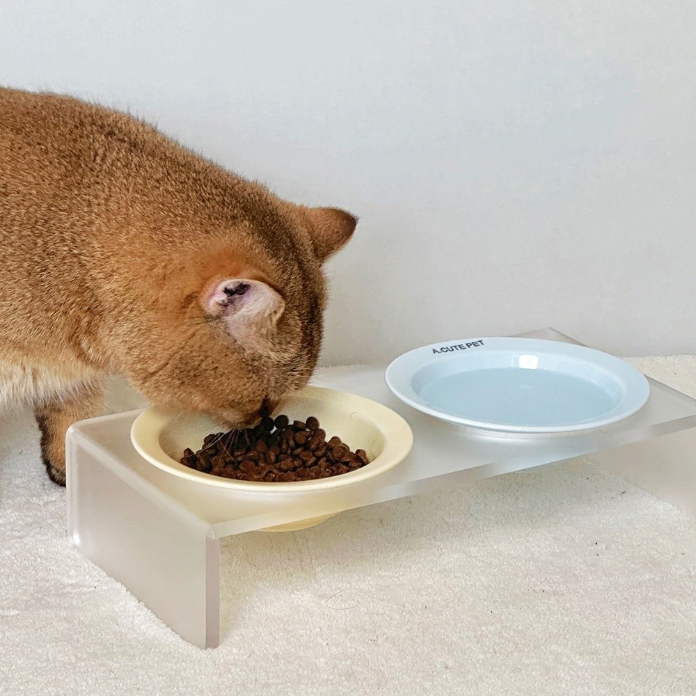 Elevated Ceramic Cat Bowls Tilted Food - セラミック製高さのある猫用ボウル、単色アクリル製ボウルラック、ボウルスタンドホルダー、傾斜調整可能な大径ペット用ダブルフードボウル