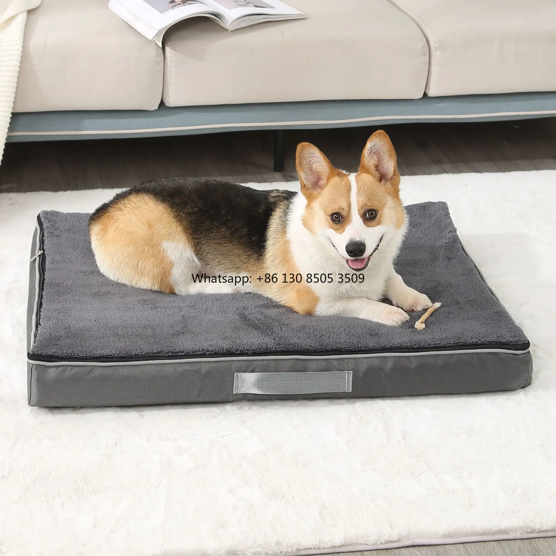 Orthopedic Memory Foam Dog Bed Washable - メーカー卸売 洗える卵型メモリーフォームペット用品サプライヤー 大型犬用整形外科ベッド