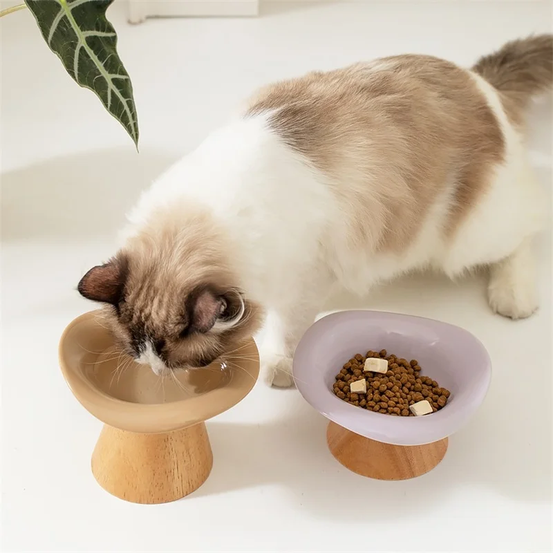 クリエイティブなデザインのセラミック製猫用食器。取り外し可能 - Elevated Ceramic Cat Bowls Tilted Food のレビューと価格