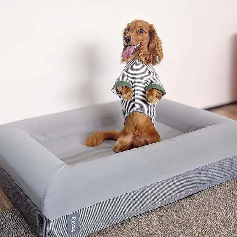 メモリーフォーム整形外科用高級犬用ベッド、取り外し可能、洗濯 - Orthopedic Memory Foam Dog Bed Washable のレビューと価格