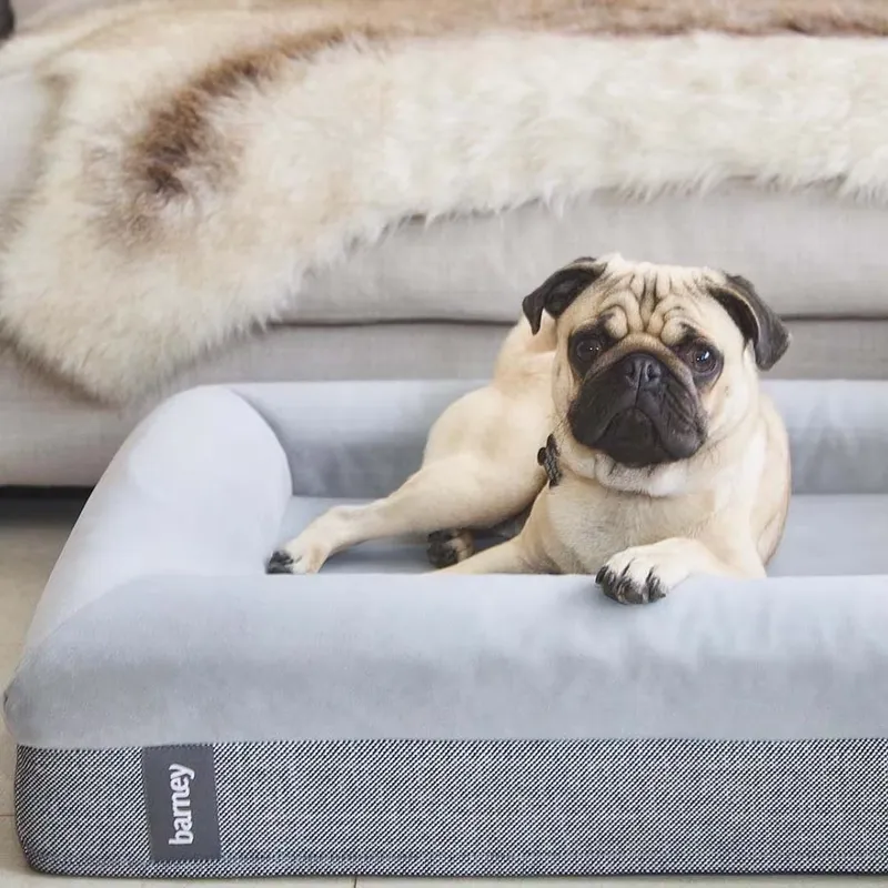 メモリーフォーム整形外科用高級犬用ベッド、取り外し可能、洗濯 - Orthopedic Memory Foam Dog Bed Washable のレビューと価格