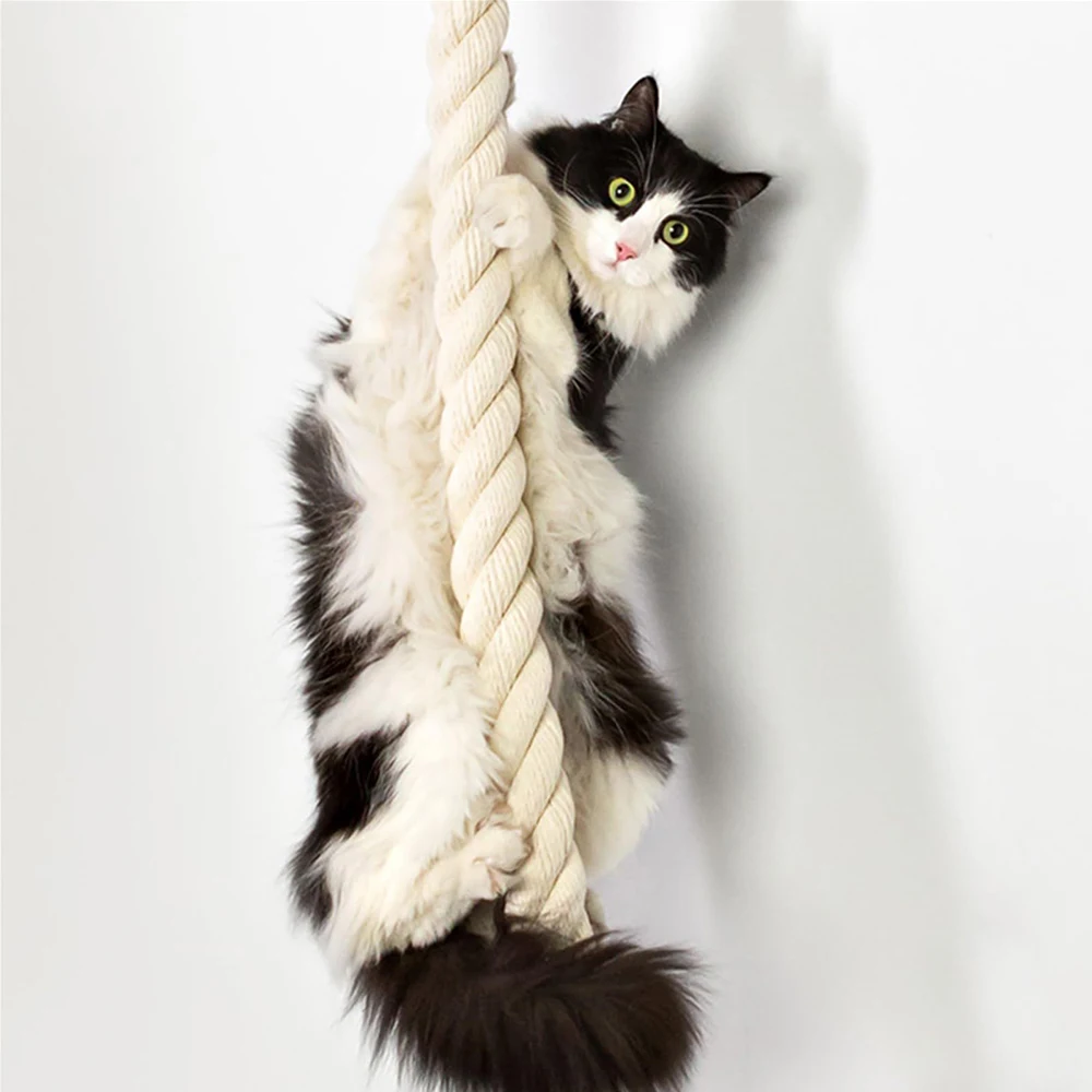 猫の壁クライミング棚サイザル麻ロープクライマーツリースクラッ - Cat Wall Climbing Shelves Hammock Wooden のレビューと価格