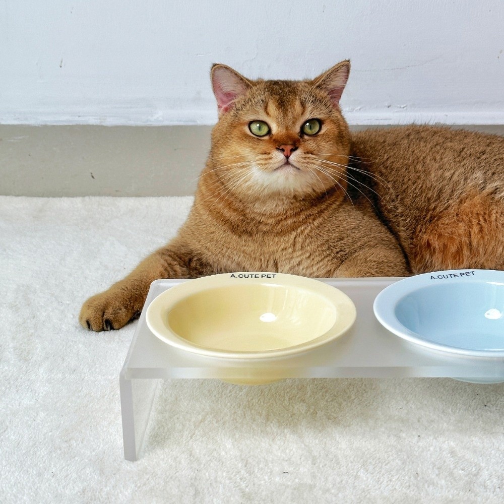 セラミック製高さのある猫用ボウル、単色アクリル製ボウルラック - Elevated Ceramic Cat Bowls Tilted Food のレビューと価格