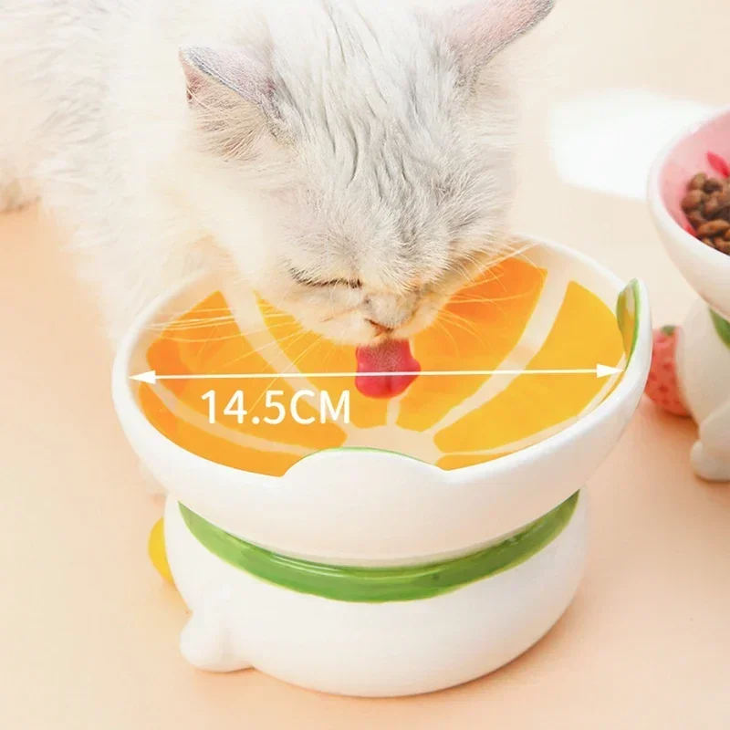 猫用セラミックボウル 小型犬用 滑り止め付き 高さのある傾斜 - Elevated Ceramic Cat Bowls Tilted Food のレビューと価格