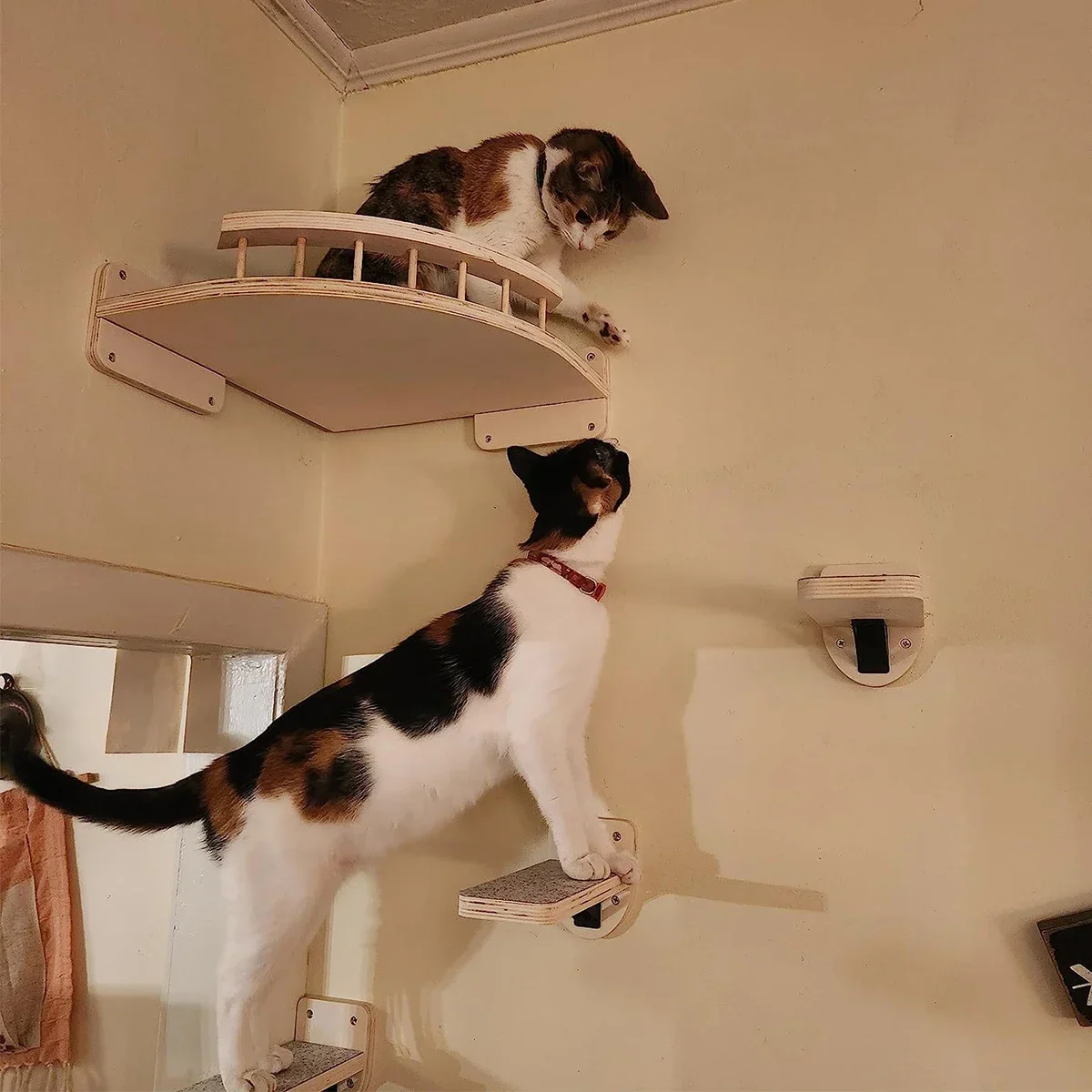 壁掛け式猫用棚、木製猫用展望台兼クライミングシェルフ、子猫用 - Cat Wall Climbing Shelves Hammock Wooden のレビューと価格