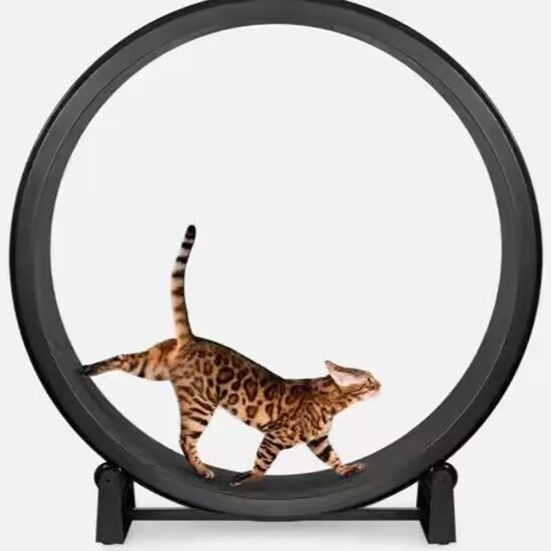 猫用トレッドミル、猫の運動用ホイール、猫のトレーニング用ラン - Cat Running Wheel Exercise Treadmill のレビューと価格