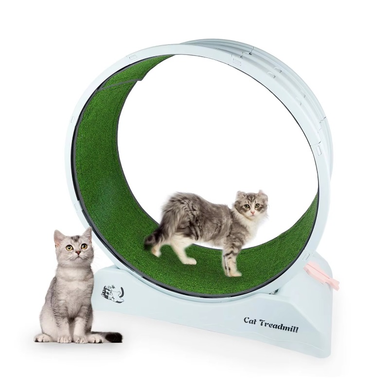 特大74cm猫用エクササイズホイール、カーペット付きランニン - Cat Running Wheel Exercise Treadmill のレビューと価格