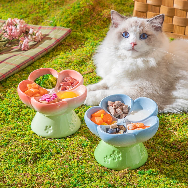 高さのあるセラミック製ペットボウル 15個入り °   傾斜 - Elevated Ceramic Cat Bowls Tilted Food のレビューと価格