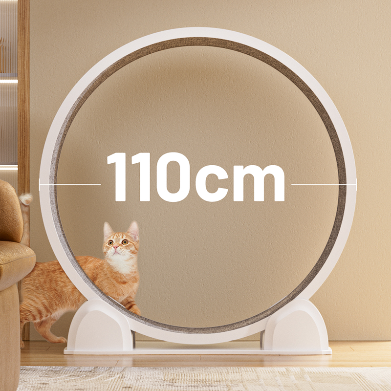 CATSOUL デジタルディスプレイ付き猫用トレッドミル 1 - Cat Running Wheel Exercise Treadmill のレビューと価格