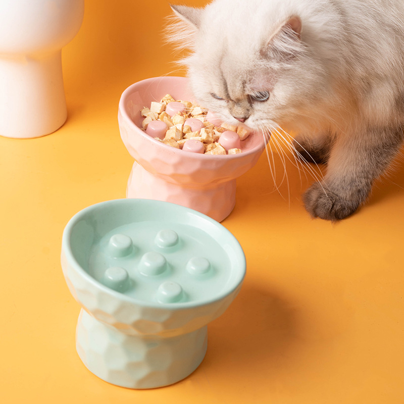 セラミック製、高さ調整可能な猫用食器。ゆっくりと食べられる設 - Elevated Ceramic Cat Bowls Tilted Food のレビューと価格