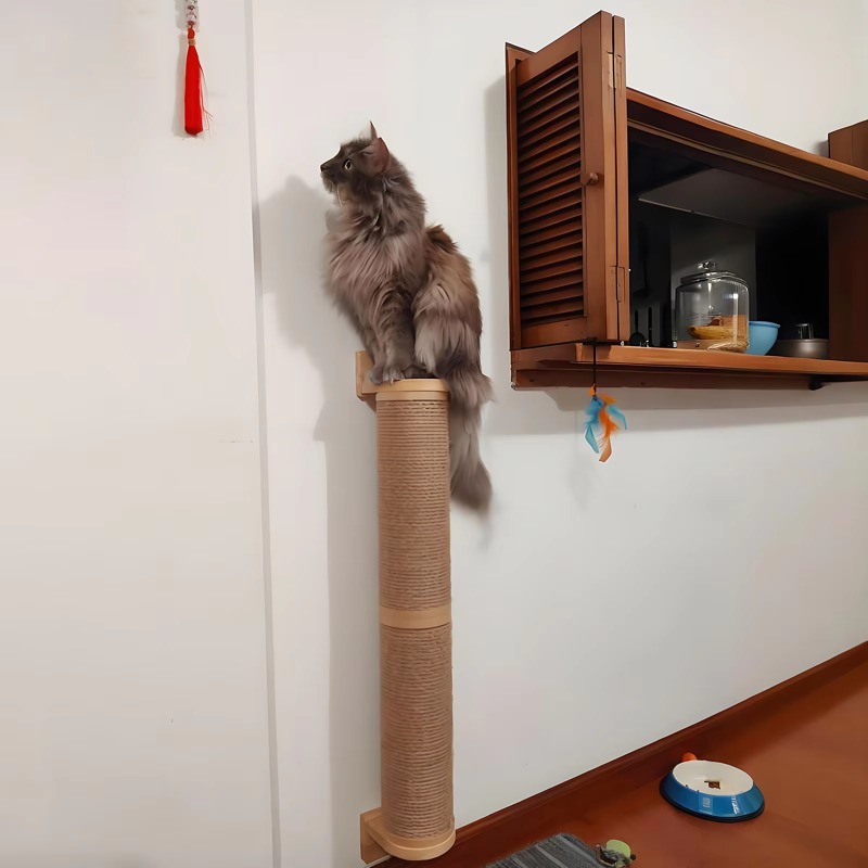 猫用爪とぎ、壁掛け式、木製、サイザル麻製、室内猫用、ペット用 - Cat Wall Climbing Shelves Hammock Wooden のレビューと価格