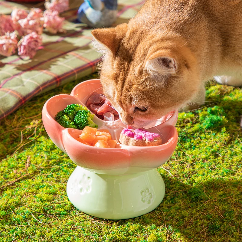 高さのあるセラミック製ペットボウル 15個入り °   傾斜 - Elevated Ceramic Cat Bowls Tilted Food のレビューと価格