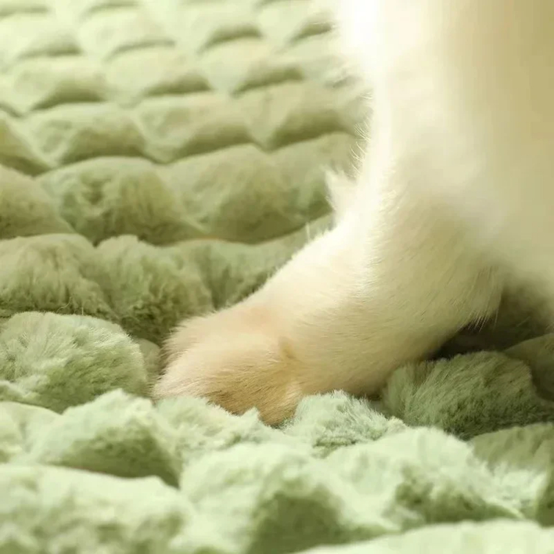 洗濯機で洗える犬用ベッド、取り外し可能な整形外科用子犬用クッ - Orthopedic Memory Foam Dog Bed Washable のレビューと価格