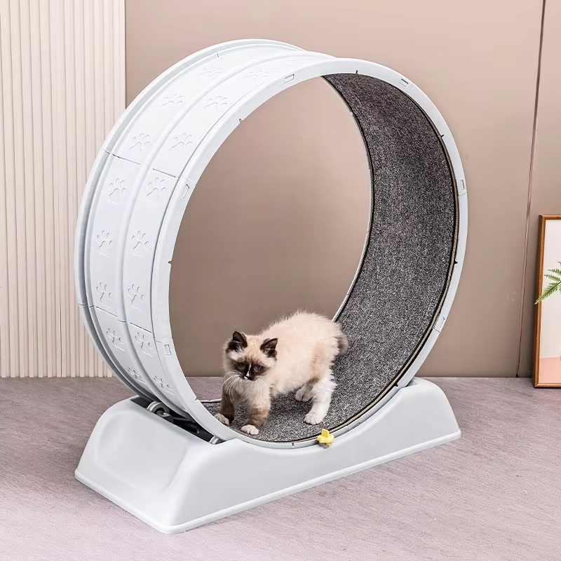 高品質でモダンなエコフレンドリーな木製静音キャットランニング - Cat Running Wheel Exercise Treadmill のレビューと価格