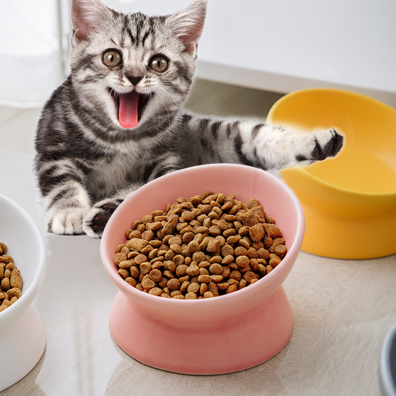 高さのある猫用ボウル 小型犬用 15 °   傾斜した上げ底 - Elevated Ceramic Cat Bowls Tilted Food のレビューと価格