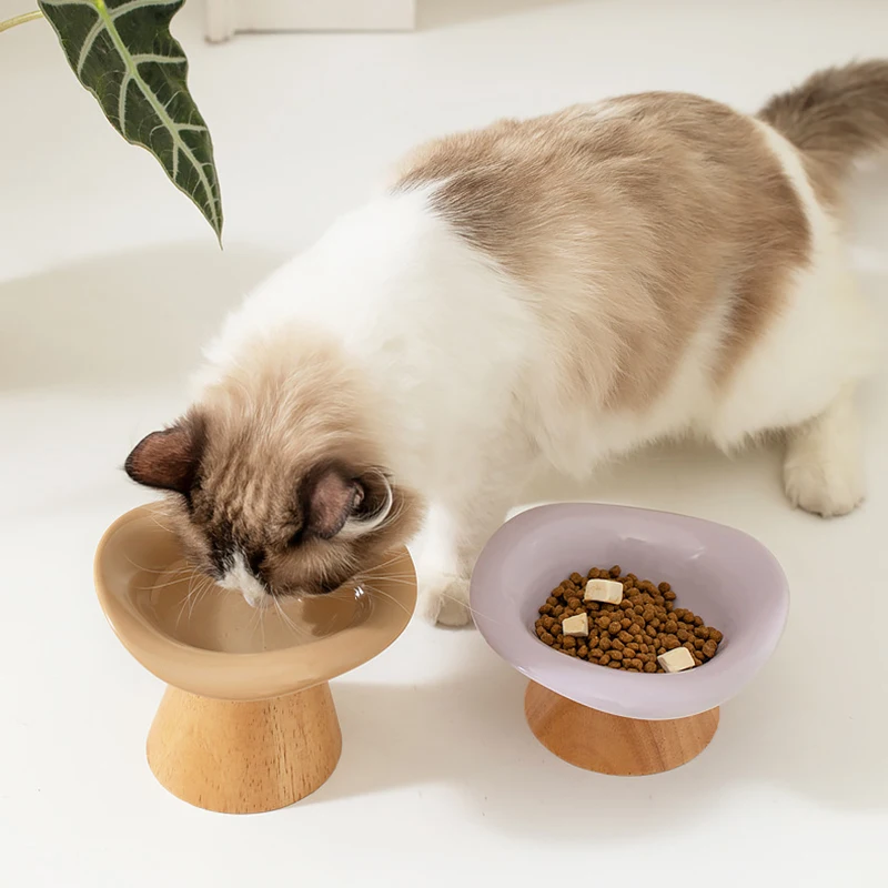 猫用、傾斜式のフードボウルと水飲みボウル。ペット用、犬用、高 - Elevated Ceramic Cat Bowls Tilted Food のレビューと価格