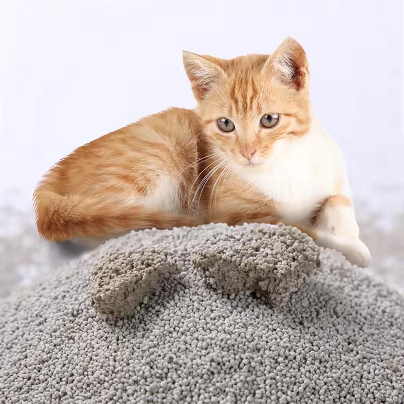 中国産 高吸収性 強力固まる 低粉塵・無香料 卸売 プレミア - Bentonite Cat Litter Clumping Dust Free のレビューと価格
