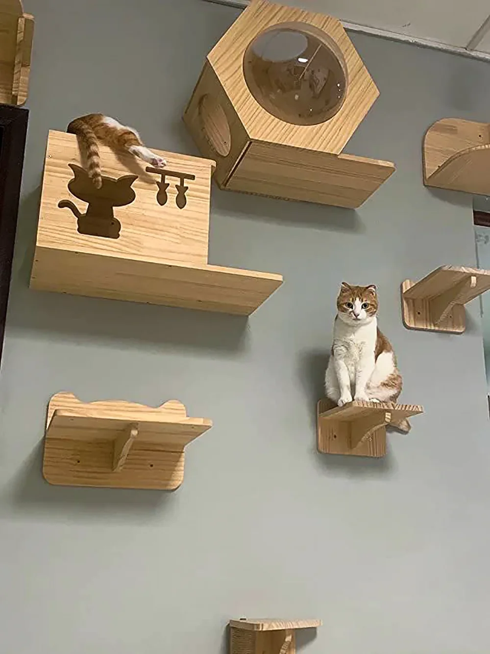 壁掛け式キャットツリー。木製の棚、爪とぎ、クライミングタワー - Cat Wall Climbing Shelves Hammock Wooden のレビューと価格