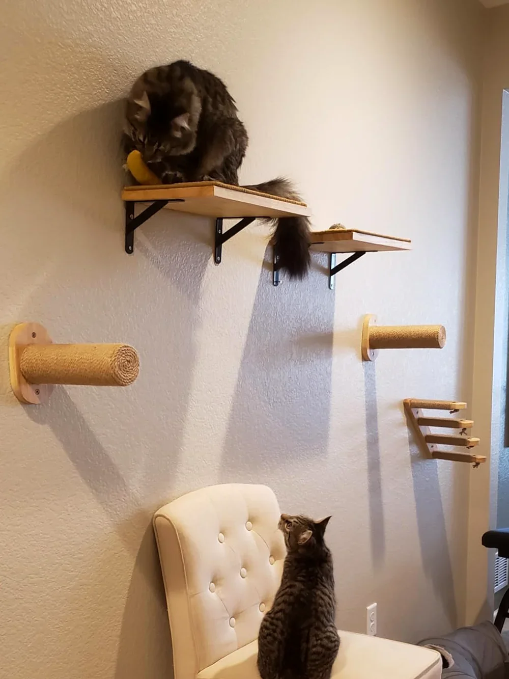 壁掛け式キャットツリー。木製の棚、爪とぎ、クライミングタワー - Cat Wall Climbing Shelves Hammock Wooden のレビューと価格