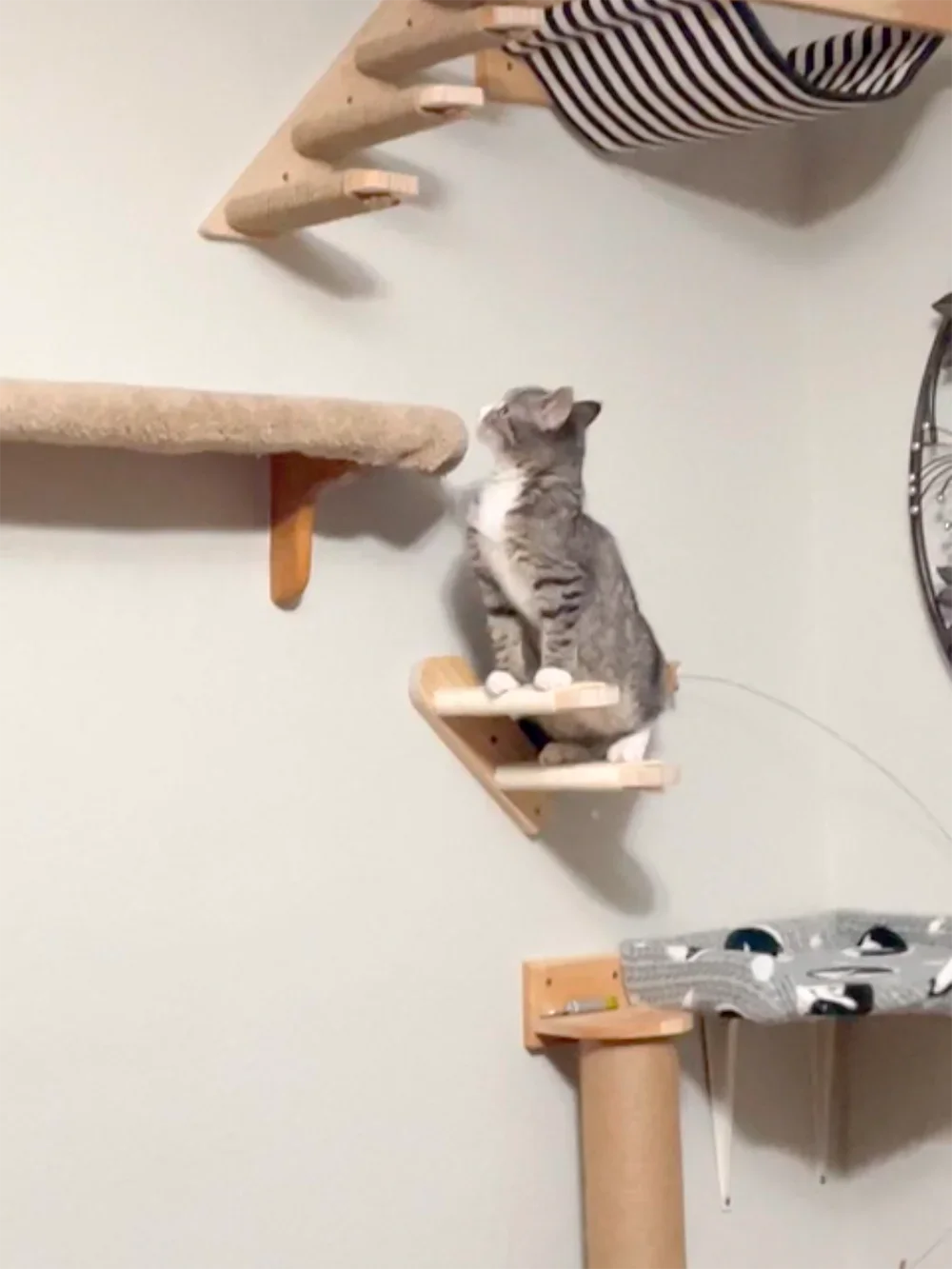 壁掛け式キャットツリー。木製の棚、爪とぎ、クライミングタワー - Cat Wall Climbing Shelves Hammock Wooden のレビューと価格