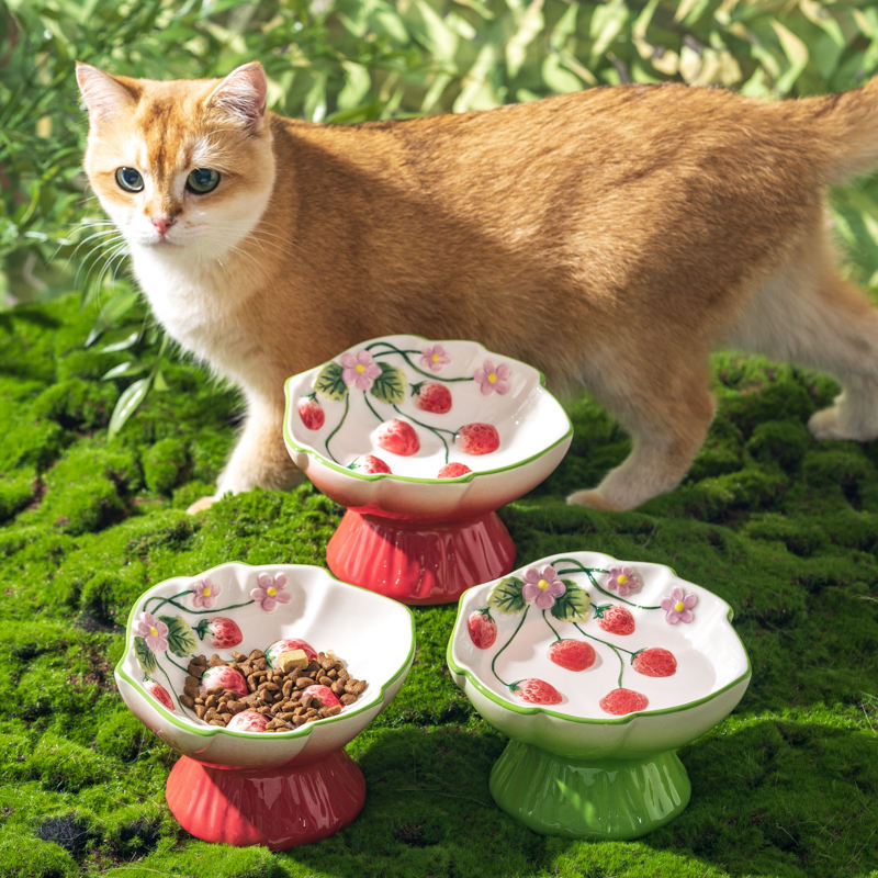 セラミック製のイチゴ型高さのある猫用ボウル、傾斜のあるペット - Elevated Ceramic Cat Bowls Tilted Food のレビューと価格