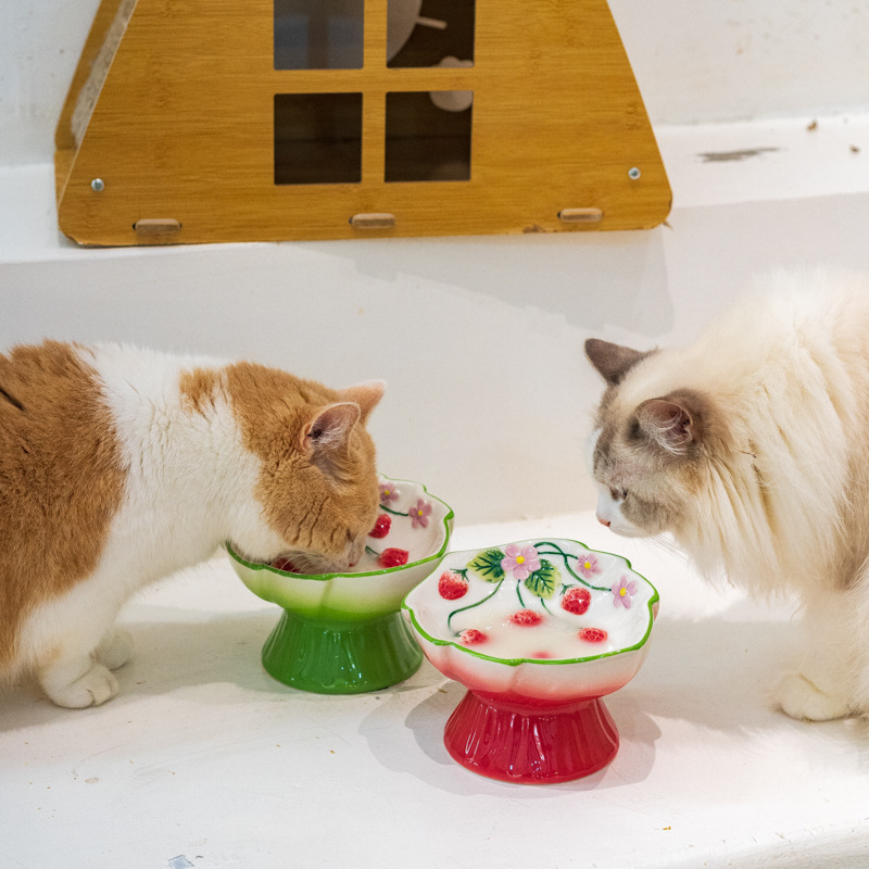 セラミック製のイチゴ型高さのある猫用ボウル、傾斜のあるペット - Elevated Ceramic Cat Bowls Tilted Food のレビューと価格