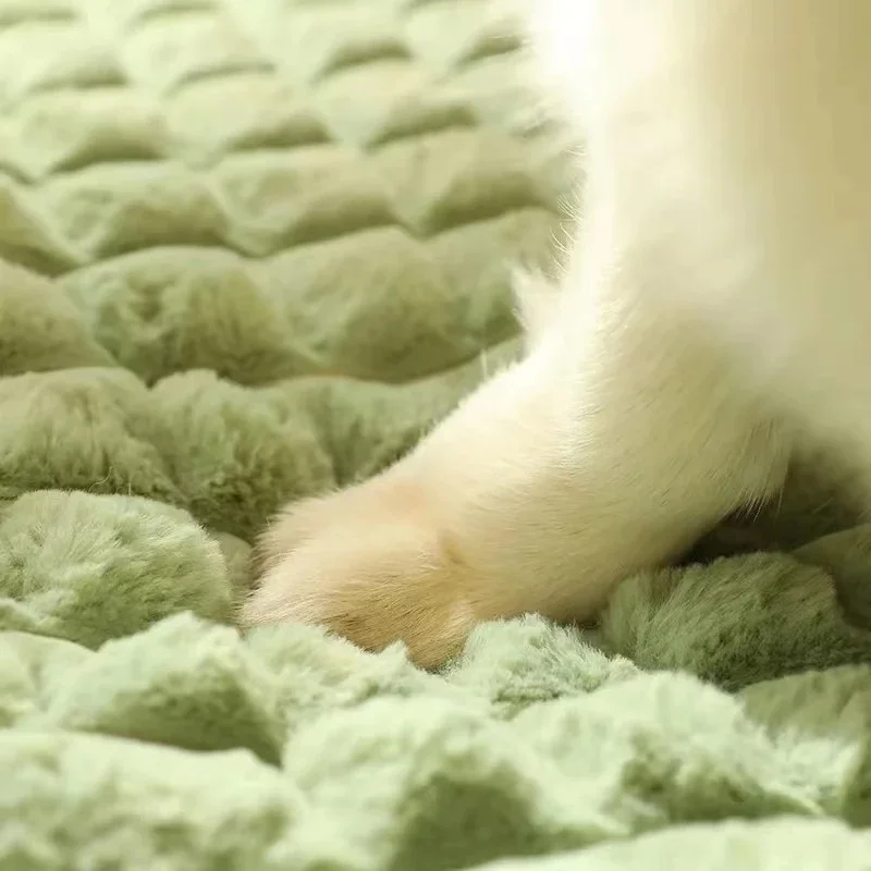 洗濯機で洗える犬用ベッド、取り外し可能な整形外科用子犬用クッ - Orthopedic Memory Foam Dog Bed Washable のレビューと価格