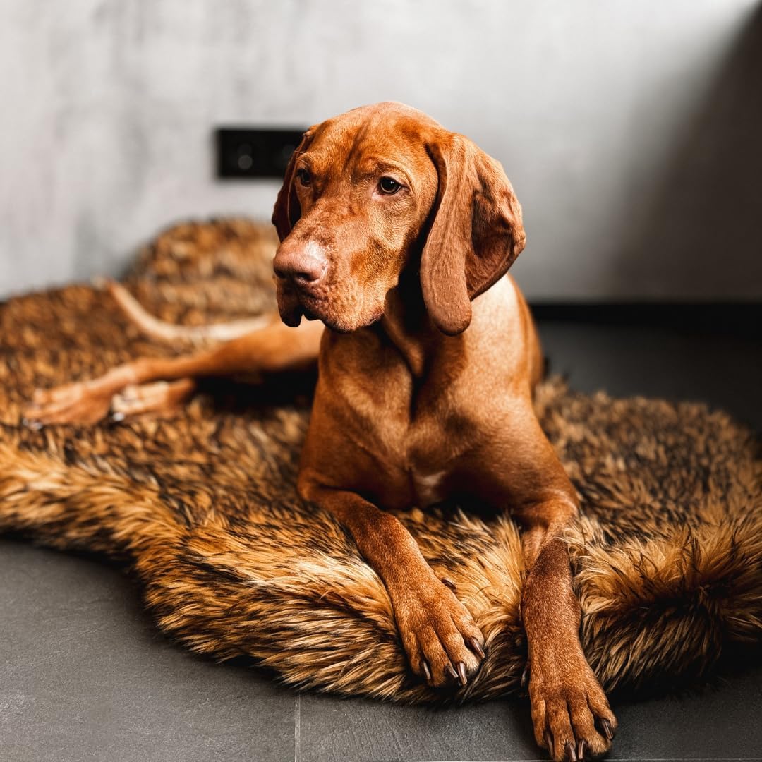 フェイクファー整形外科犬用ベッド、メモリーフォーム、ブラウン - Orthopedic Memory Foam Dog Bed Washable のレビューと価格
