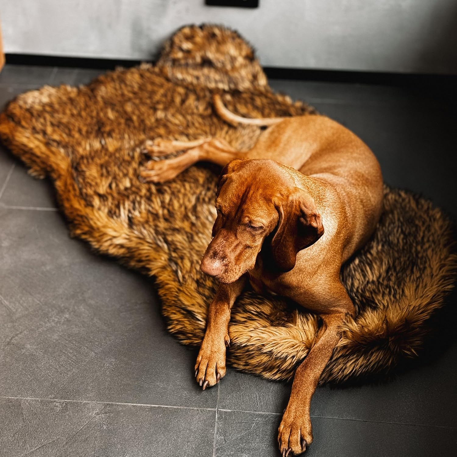フェイクファー整形外科犬用ベッド、メモリーフォーム、ブラウン - Orthopedic Memory Foam Dog Bed Washable のレビューと価格