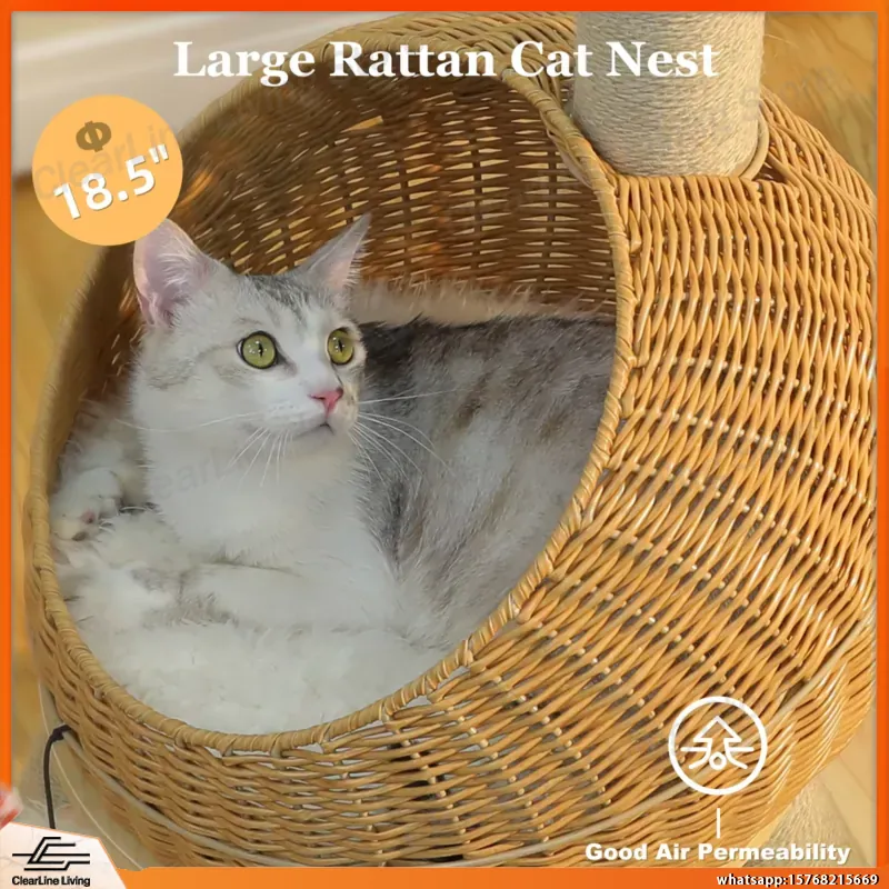 恐竜型キャットタワー サイザル麻スクラッチングポスト付き ラ - Cat Scratching Post Sisal Tree Tower のレビューと価格