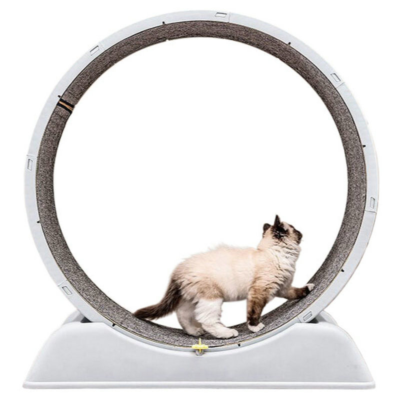 新しい猫トレッドミル、サイレントで詰め込まれていない足、猫の - Cat Running Wheel Exercise Treadmill のレビューと価格