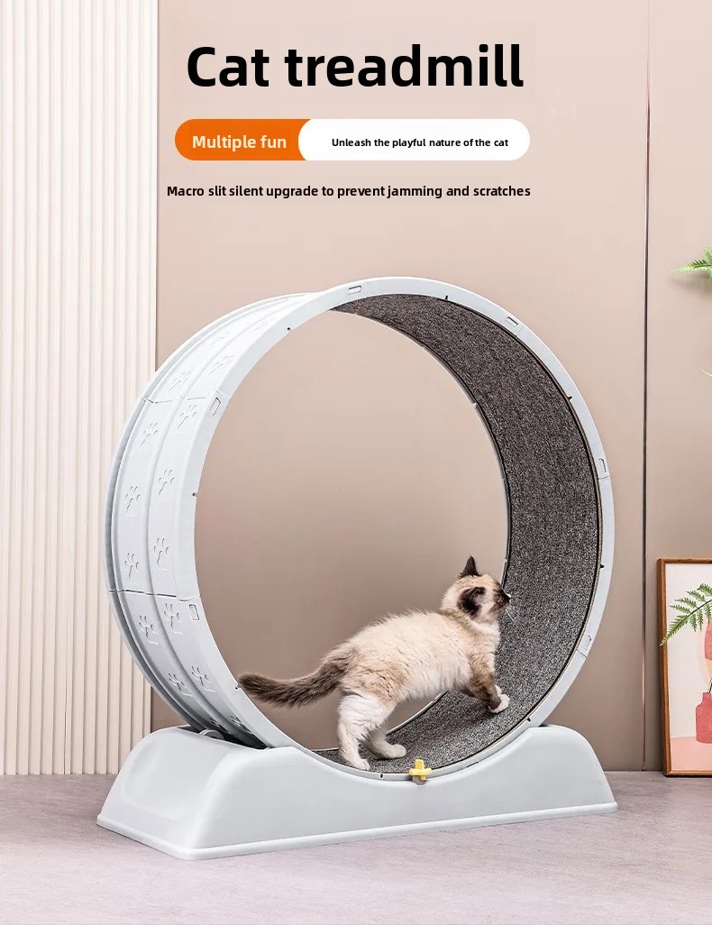 新しい猫トレッドミル、サイレントで詰め込まれていない足、猫の - Cat Running Wheel Exercise Treadmill のレビューと価格
