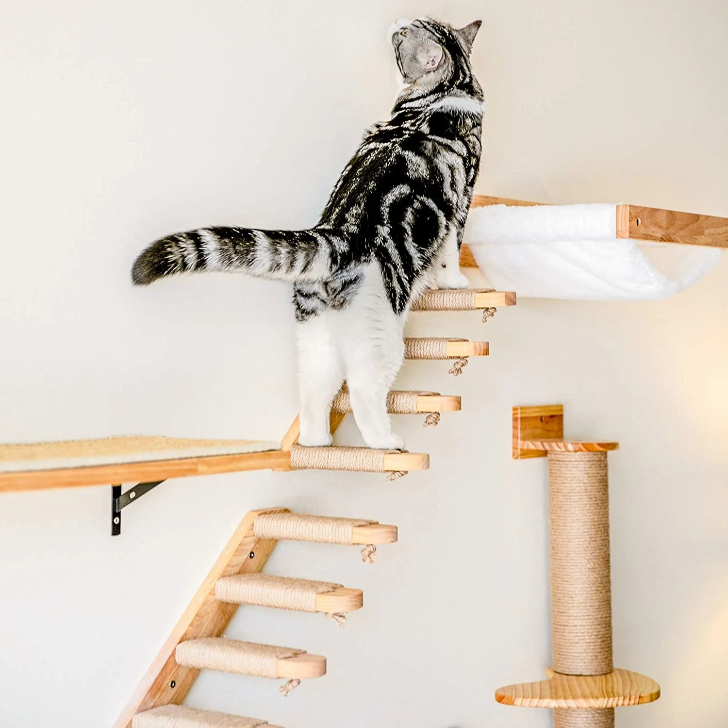 壁掛け猫ハンモックベッドペット家具子猫壁棚セット猫止まり木木 - Cat Wall Climbing Shelves Hammock Wooden のレビューと価格