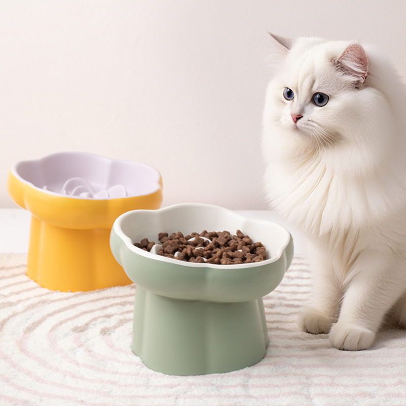 セラミック製高さのある猫用スローフィーダーボウル、窒息防止、 - Elevated Ceramic Cat Bowls Tilted Food のレビューと価格